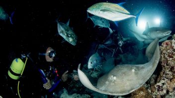 Buceo nocturno