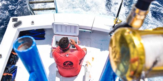 La Victoria first mate preparing bait for fishing activity